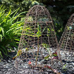 Set of Six Panacea 83280 Rustic Wire Garden Cloches, 20" H Each