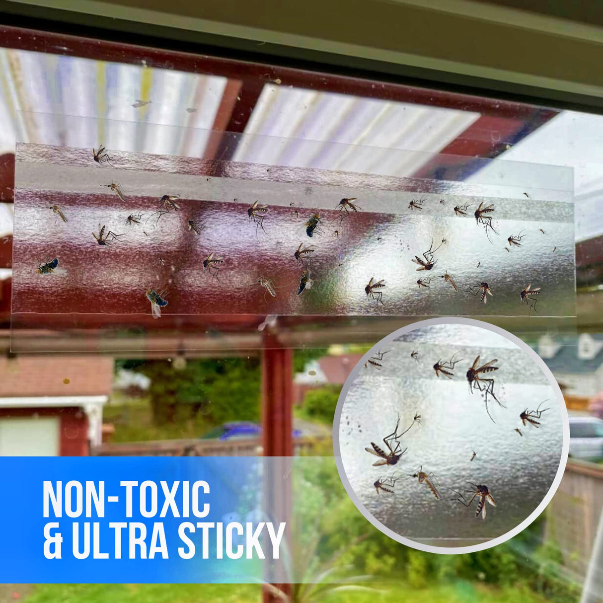 Garsum Fly Clear Window Fly Traps Bug Fly Killer Window Decal Non-Toxic,4 Piece per Pack Total 12 Pices