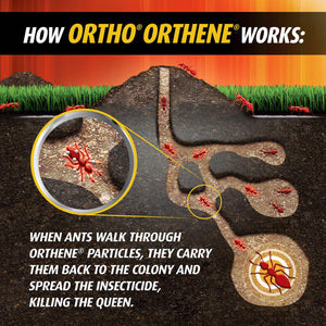 Ortho Orthene Fire Ant Killer1 (Twin Pack)