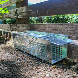 Havahart 1020 X-Small 2-Door Humane Catch and Release Live Animal Trap for Moles, Rodents, Shrews, Mice, Voles, and Other Small Animals
